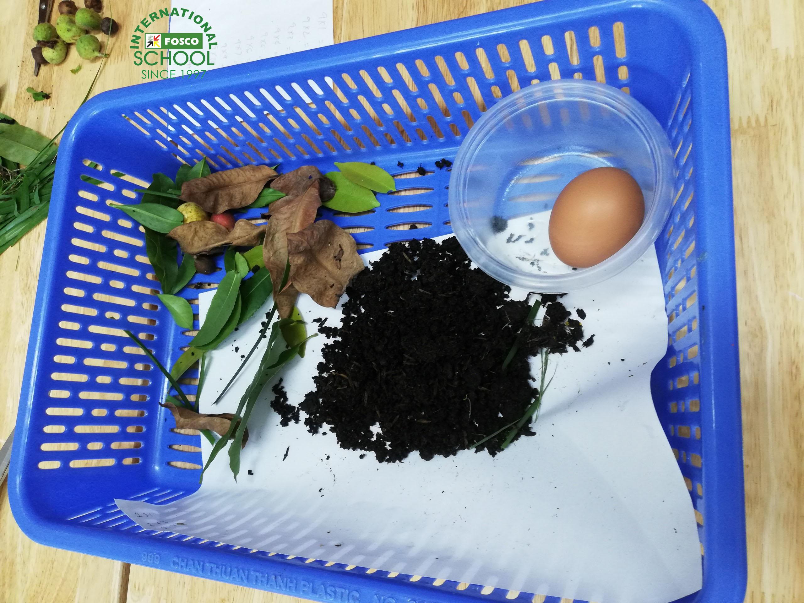 Content image
